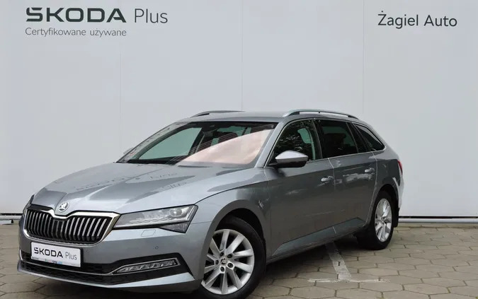 samochody osobowe Skoda Superb cena 110900 przebieg: 80166, rok produkcji 2019 z Kielce